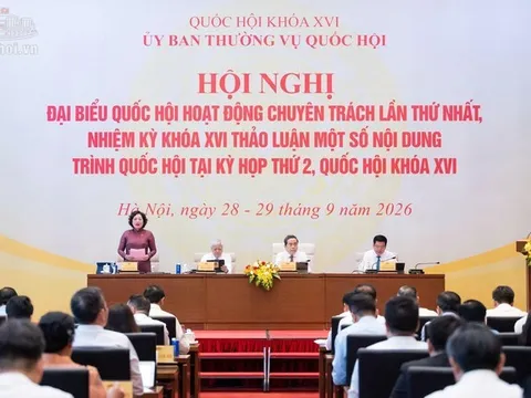 Cân nhắc kỹ quy định miễn thuế 3 năm đối với doanh nghiệp nhỏ và vừa