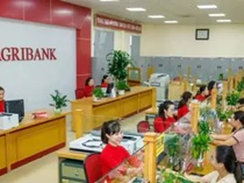 Ngân hàng rao bán nợ của doanh nghiệp từng mang tên Nghệ sĩ Quyền Linh