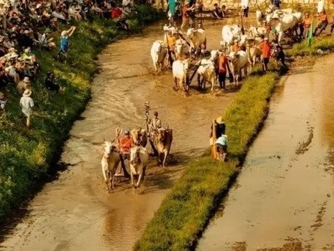 Trại buôn người đưa bối cảnh vùng biên giới miệt vườn miền Tây lên màn ảnh rộng