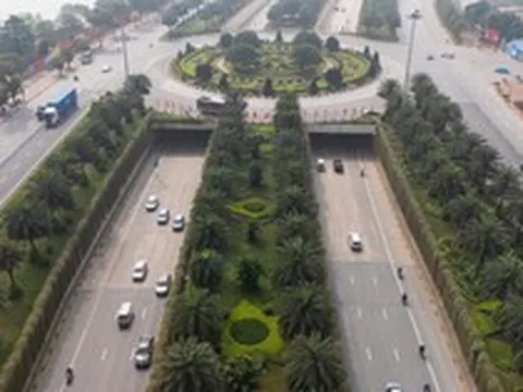 Hà Nội dự kiến trồng cây phủ xanh trụ đường sắt, cầu vượt và hầm chui