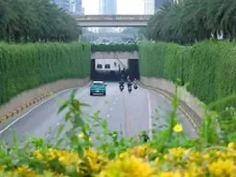 Hà Nội thí điểm phủ xanh trụ cầu đường sắt, hầm chui và nhà chờ xe buýt