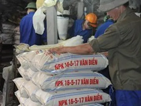 Phân lân Văn Điển bổ nhiệm một Phó Tổng Giám đốc
