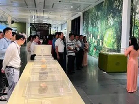 Khơi thông nguồn lực, phát huy năng lực lĩnh vực bảo tồn, bảo tàng