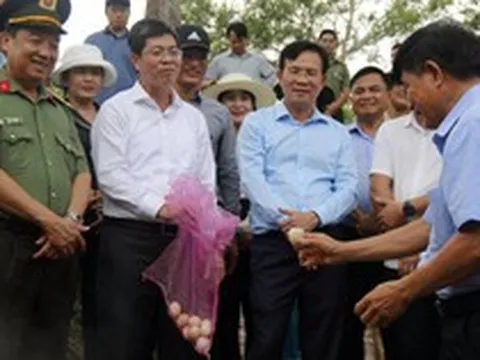 Việt Nam có suối nước nóng tự nhiên gần 90°C, đủ sức làm chín trứng gà chỉ trong 10 phút, dự kiến được xây dựng thành tổ hợp hiện đại