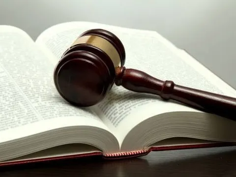 Chính phủ phê duyệt kết quả pháp điển hệ thống quy phạm pháp luật đối với 30 đề mục