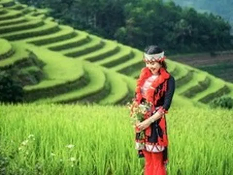Mùa vàng gọi khách, Hồng Thái tìm hướng phát triển du lịch bốn mùa