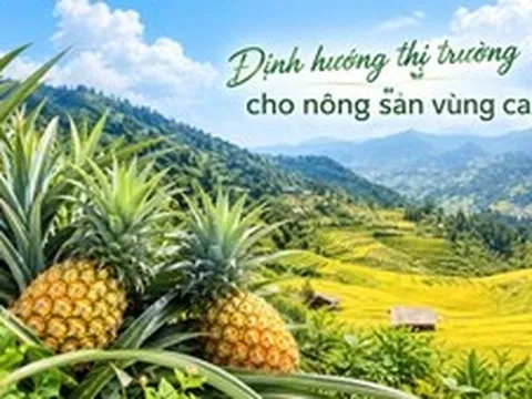 Định hướng thị trường cho nông sản vùng cao