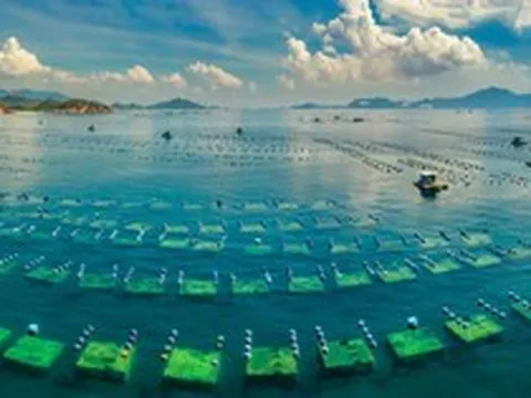 Mỹ, Trung Quốc, EU cùng góp mặt trong cuộc chơi tỷ đô của Việt Nam, 1 doanh nghiệp thu nghìn tỷ/tháng