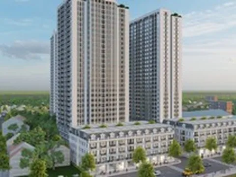 Bình Phát được giao gần 2,6ha đất làm nhà ở xã hội tại phường Lê Chân, Hải Phòng