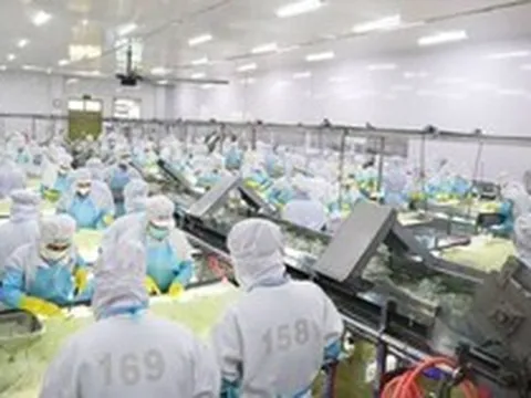“Ông lớn” sản xuất nha đam, thạch dừa GC Food (GCF) bị phạt gần nửa tỷ đồng vì loạt vi phạm