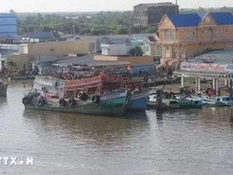 Đề nghị điều tra việc bỏ lọt xử lý hơn 5.000 vụ tàu cá mất kết nối giám sát hành trình