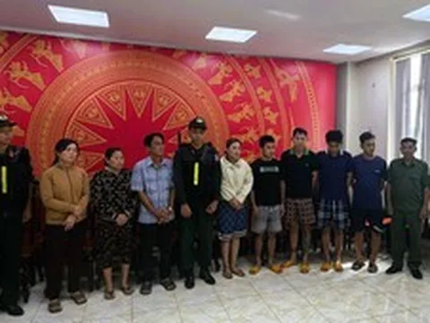 Triệt phá đường dây tiêu thụ khoảng 400 tấn heo bệnh, heo chết, thu lợi trên 10 tỷ đồng
