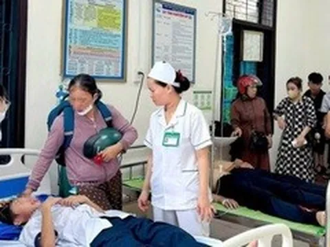 27 học sinh nhập viện do ong tấn công