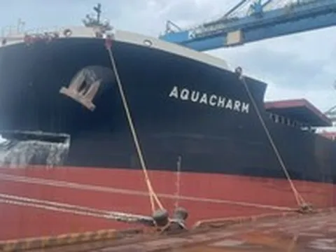 Tàu dài 300m chở 171.000 tấn quặng đâm hỏng cảng của tỷ phú Trần Đình Long: Hòa Phát yêu cầu bắt giữ, 12 hạng mục bị ảnh hưởng, bảo hiểm vào cuộc