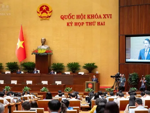 Sửa đổi Luật Xử lý vi phạm hành chính: Hoàn thiện quy định về xử lý vi phạm hành chính trên môi trường điện tử
