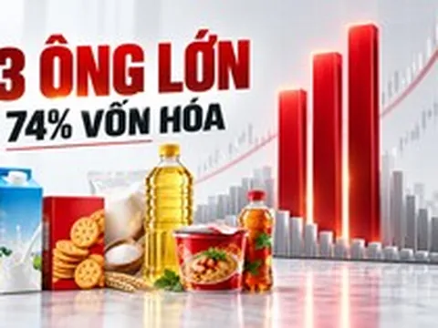 2 cổ phiếu nhà Masan và Vinamilk chiếm gần 74% vốn hóa toàn ngành thực phẩm