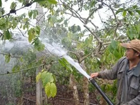 Bài 2: Giữ nước từ sớm: Giải pháp cấp bách chống hạn ở Nam Trung Bộ và Tây Nguyên