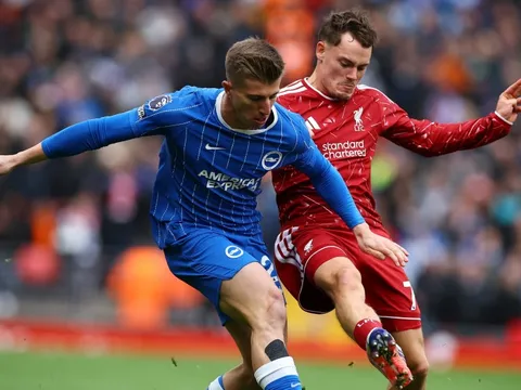 Liverpool kéo Brighton xuống mặt đất