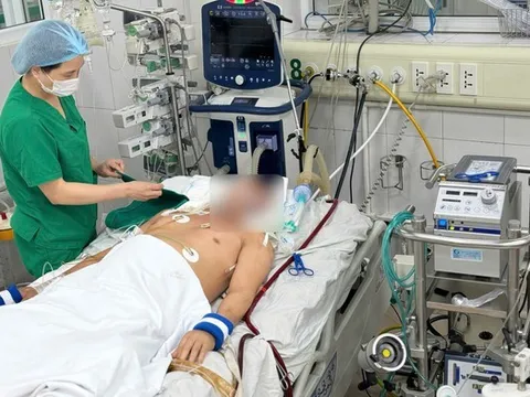 Nam thanh niên 23 tuổi khỏe mạnh bất ngờ nguy kịch vì sốt xuất huyết