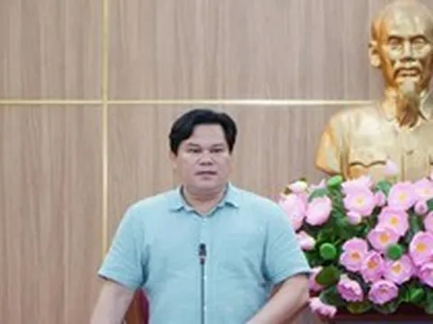 Quảng Ngãi tìm nguồn 1,5 triệu m3 đất san lấp cho dự án VSIP I