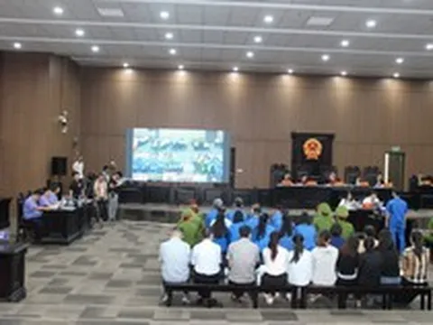 Nhân viên của Mr Pips khai lý do bất ngờ không kêu gọi được người thân đầu tư