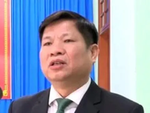 Chiêu 'bật đèn xanh' để nhà thầu nâng khống giá trị hợp đồng cây xanh của 3 nguyên Chủ tịch huyện ở Quảng Trị