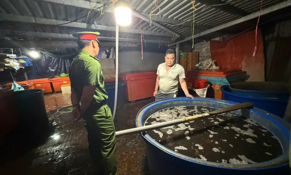 Triệt phá đường dây ngâm 3.000 tấn ốc bươu bằng hóa chất dùng trong xây dựng