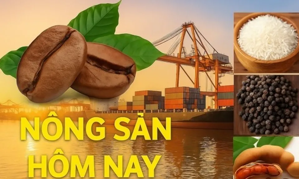 Giá nông sản hôm nay 20/3/2026: Giá cà phê robusta tăng không ngừng, vàng trở thành 'chất xúc tác'; Iran tính thu phí tàu đi qua eo biển Hormuz